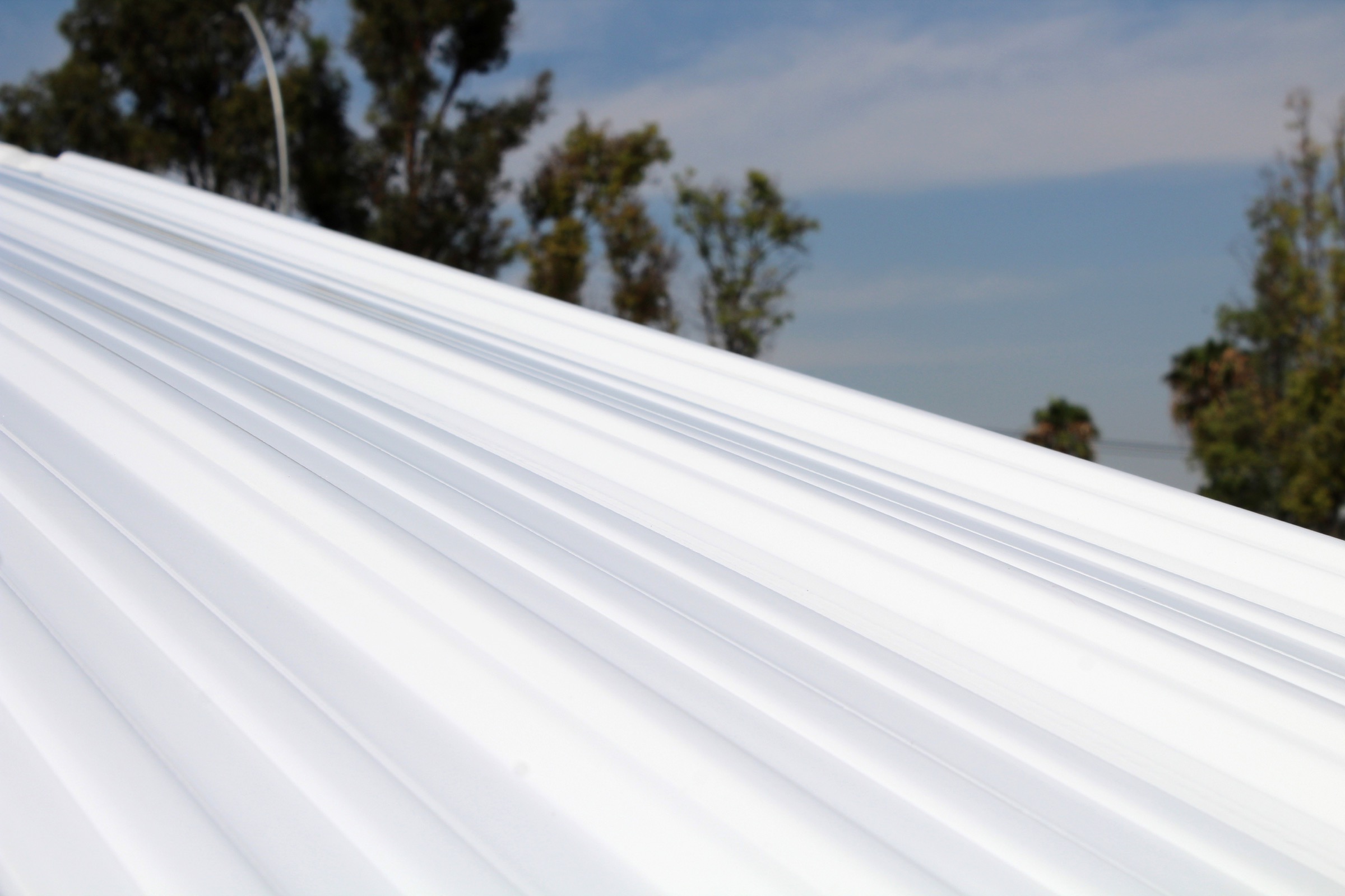 Maya PVC sheet for roofing