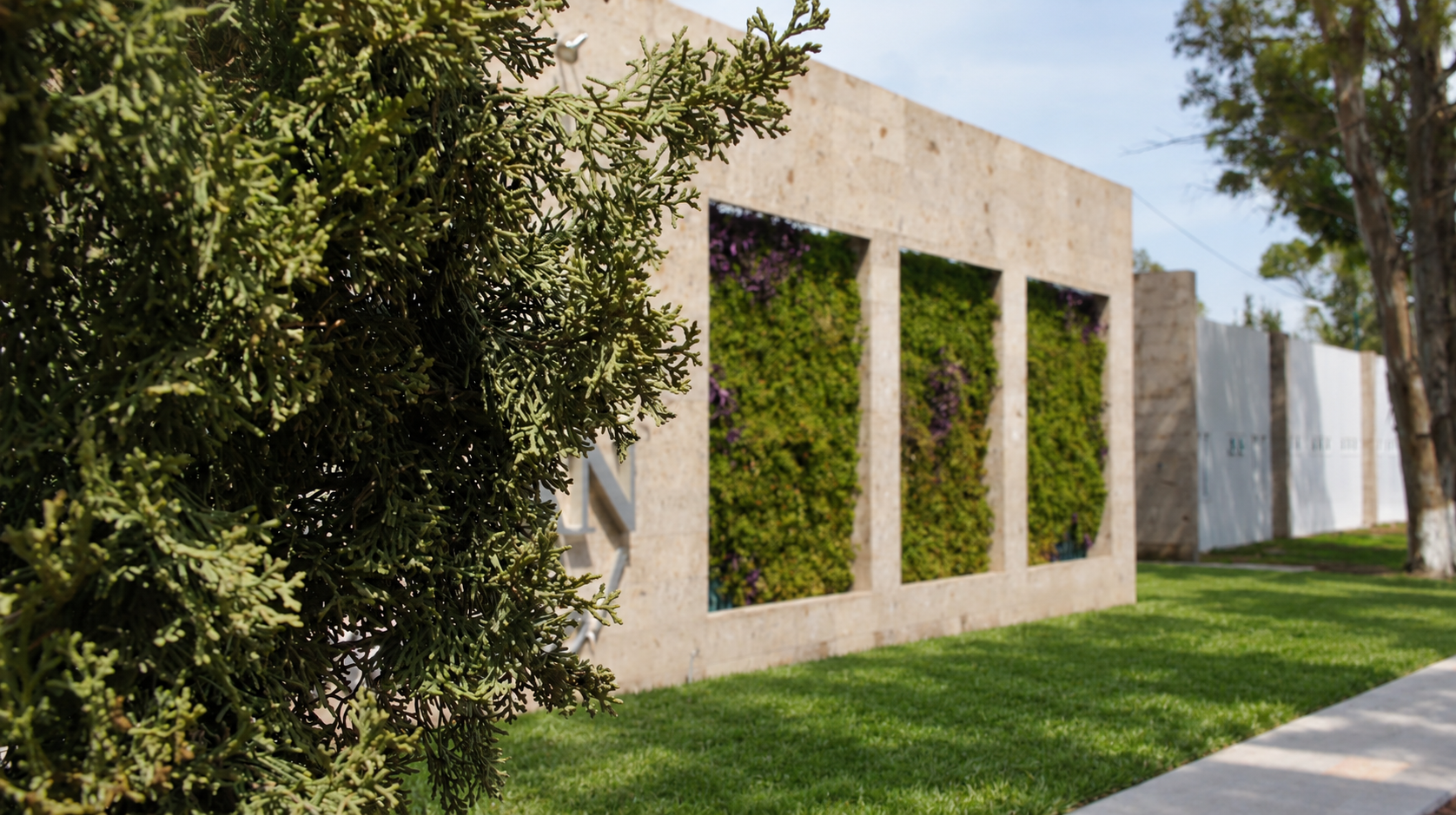 Muro verde Verte